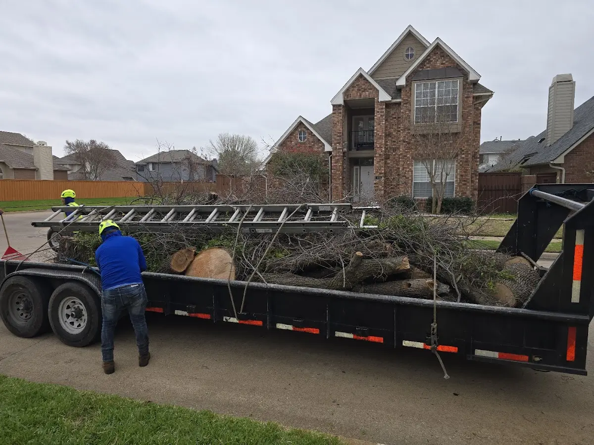 Expert Lot Clearing with proper safety equipment in Mason